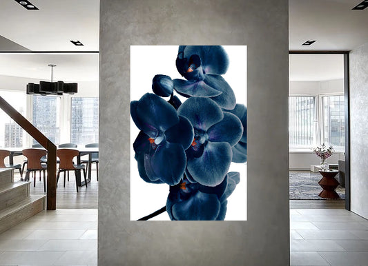 Temp Glass With Foil - Blue Orchid