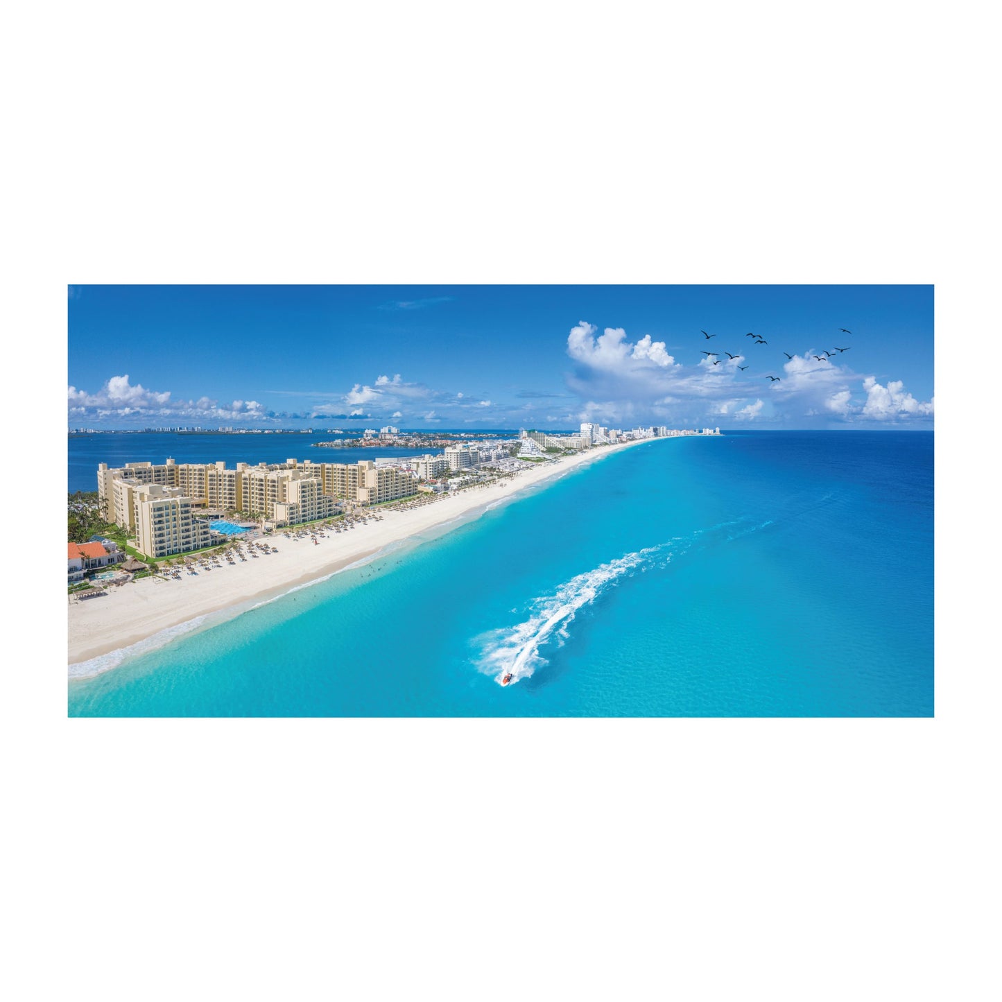 Miami Beach Tempered Glass Wall Art 47" x 24"