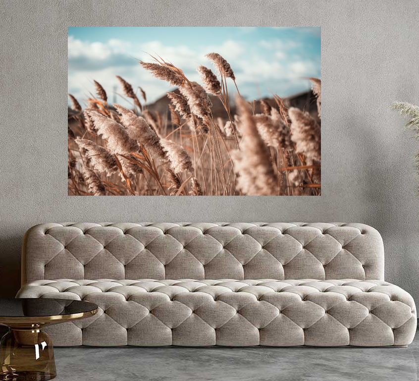 Pampas Tempered Glass Wall Art