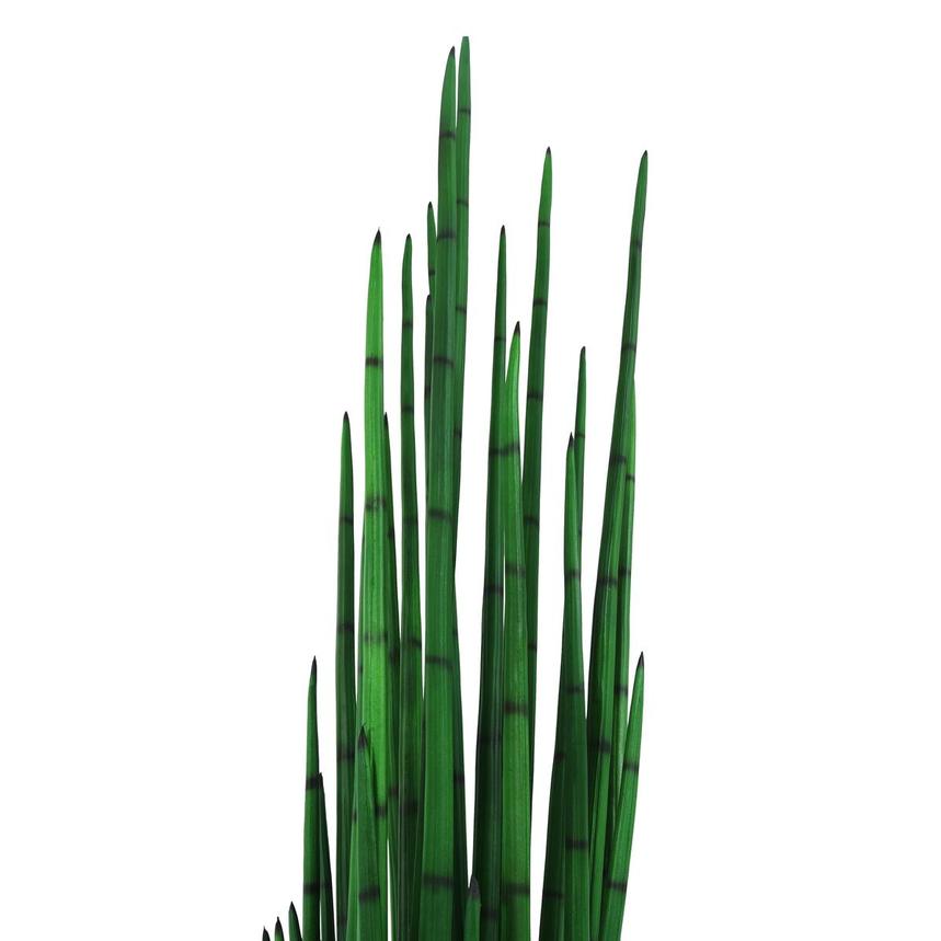 White floor vase with snake grass