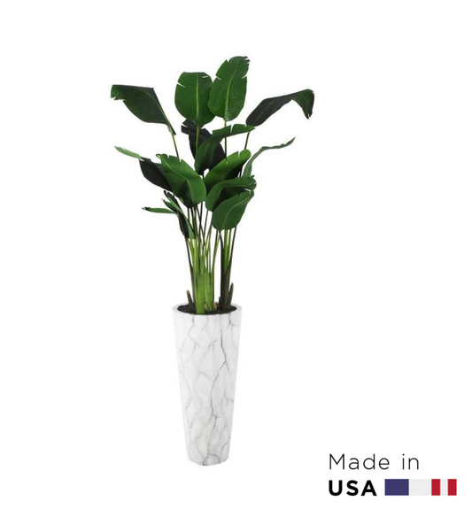 Marble planter with banana tree