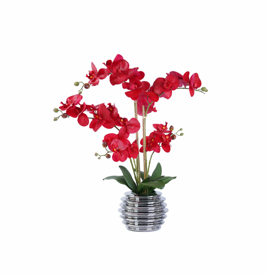 Orchid floral arrangement