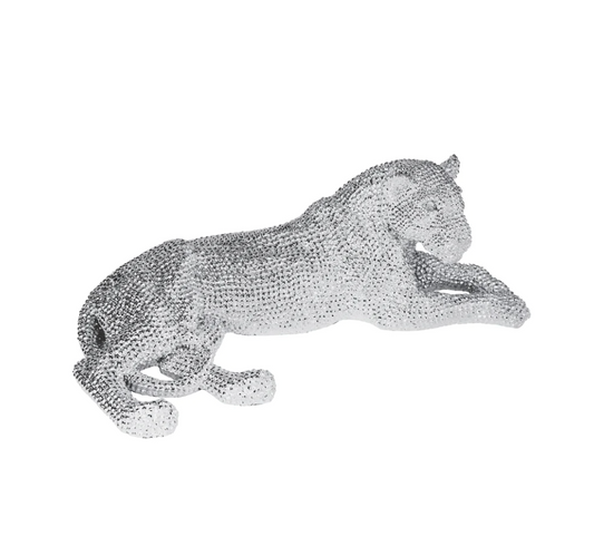 Laying Silver Leopard