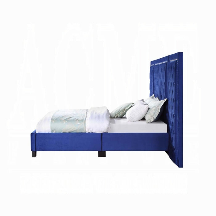 Damazy -  Upholstered Bed Royal Blue Platform with Panels