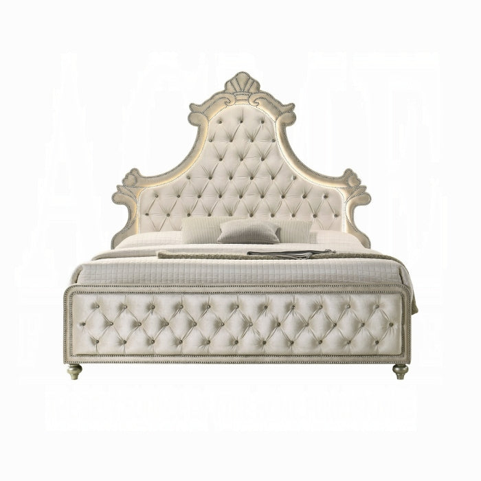 Lucienne Queen Bed W/Led