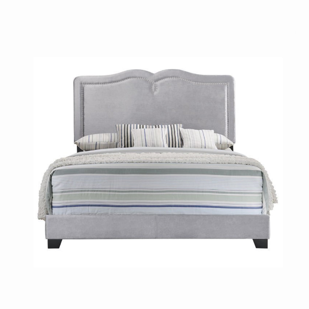 Reuben - Queen Bed - Gray Velvet