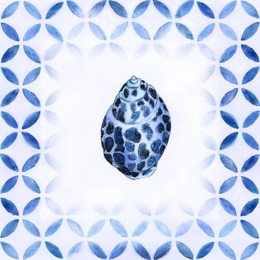 Framed - Royal Blue Shell II By Tava Studios