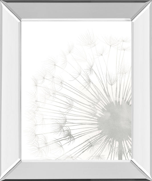 Dandelion Whisper II By Grace Popp - Pearl Silver