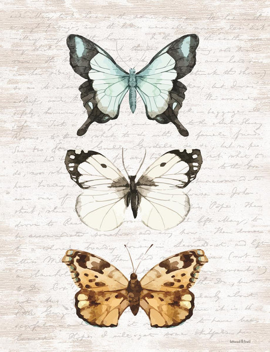 Small - Butterfly Trio By Lettered & Lined