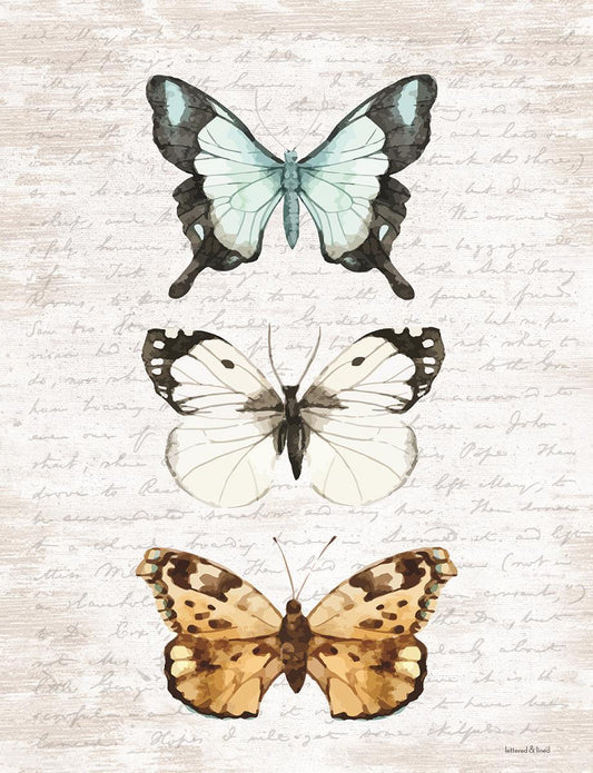 Framed - Butterfly Trio By Lettered & Lined