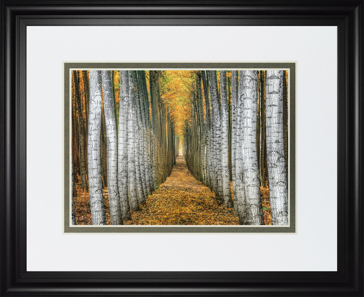 Tree Farm By Cahill - Framed Print Wall Art - Yellow