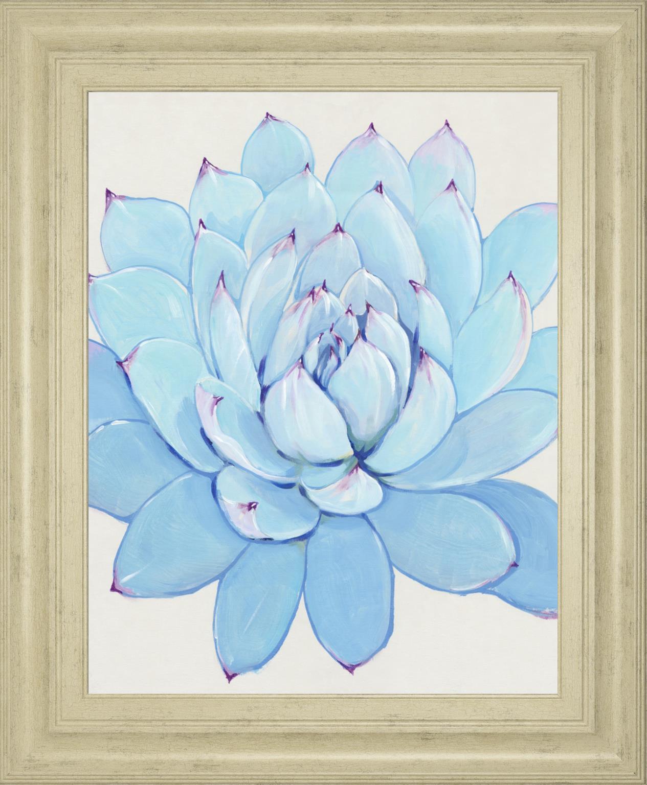 Pastel Succulent II By Tim OToole 22x26 - Light Blue
