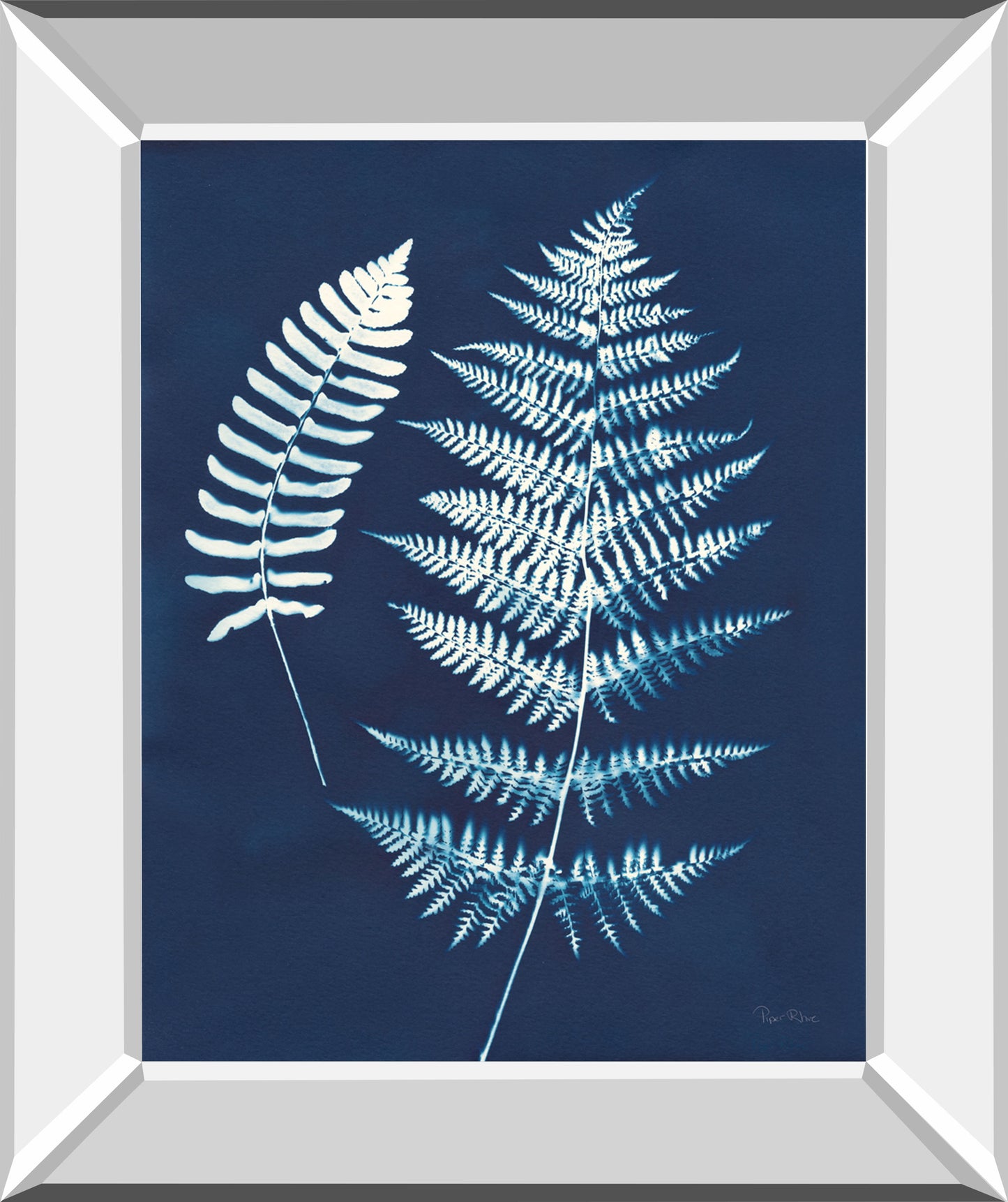 Nature By The Lake Ferns V By Piper Rhue - Mirror Framed Print Wall Art