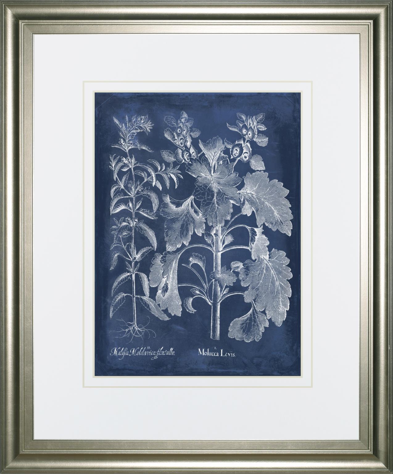 Besler Leaves in Indigo I By Vision Studio 34x40 - Blue