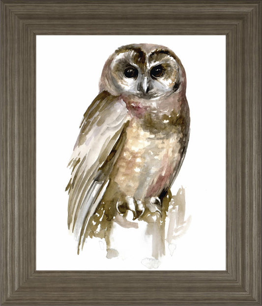 Watercolor Owl II By Jennifer Paxton Parker 22x26 - Dark Gray