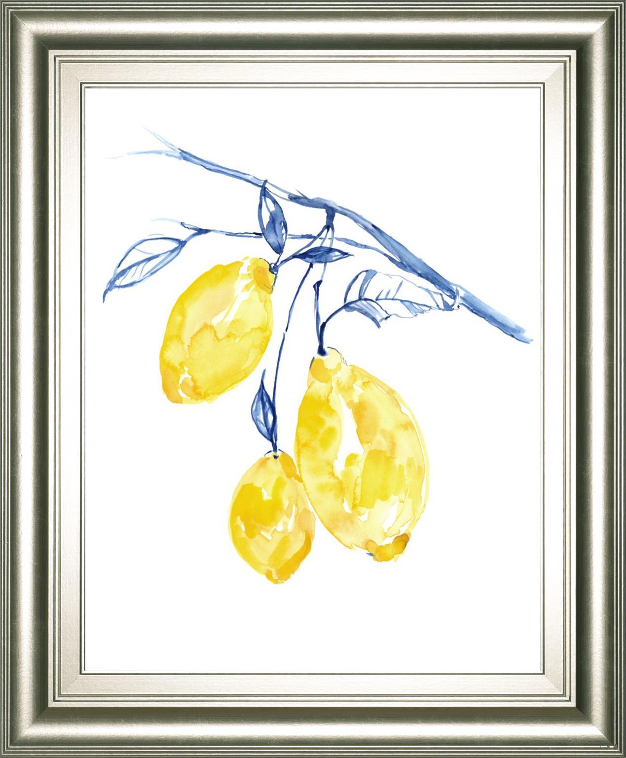 Watercolor Lemons II By Jennifer Goldberger 22x26 - Yellow