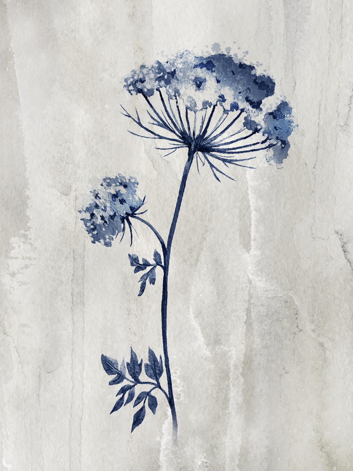 Small - Indigo Botanical I By Conrad Knutsen