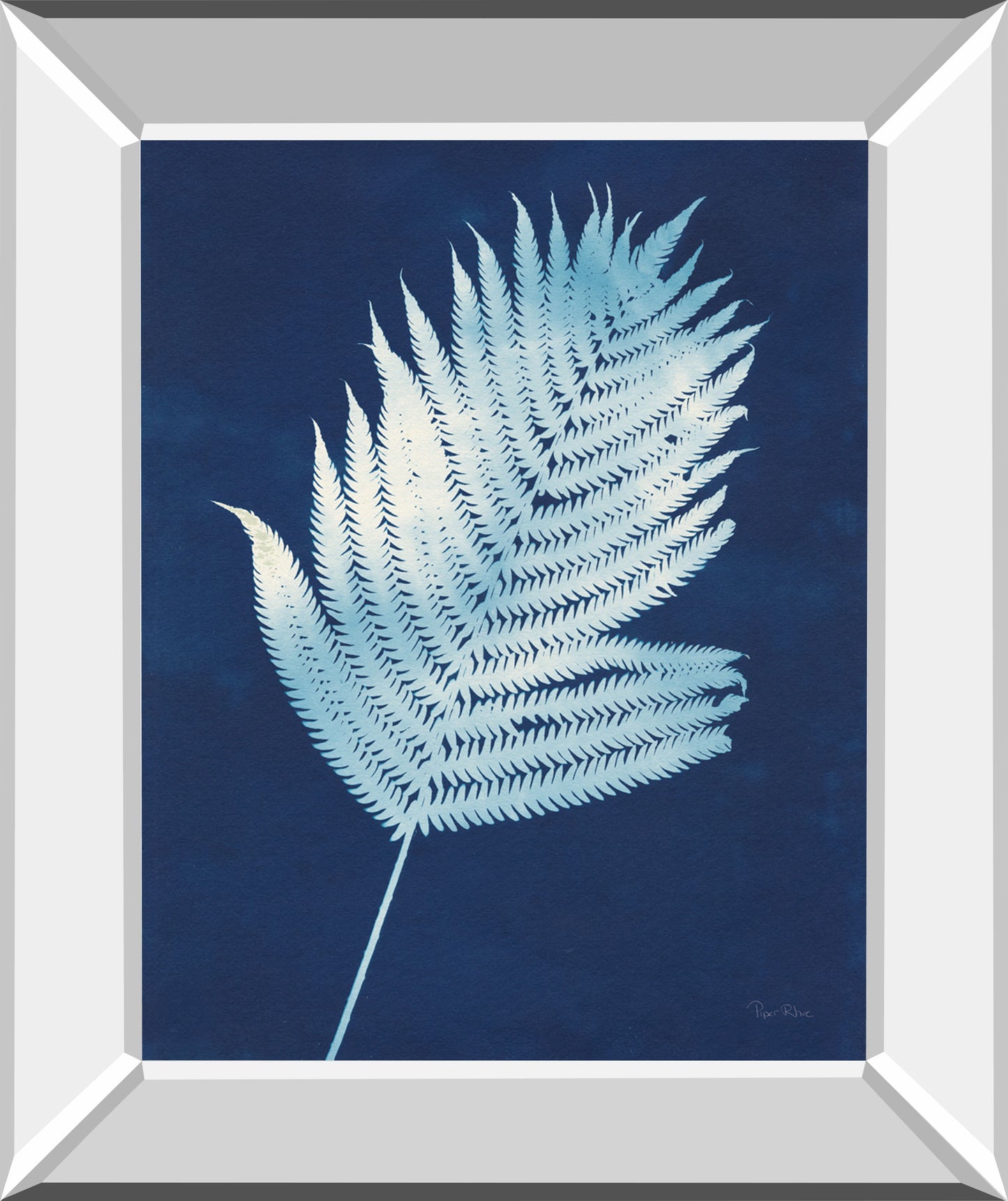 Nature By The Lake Ferns III By Piper Rhue - Mirror Framed Print Wall Art