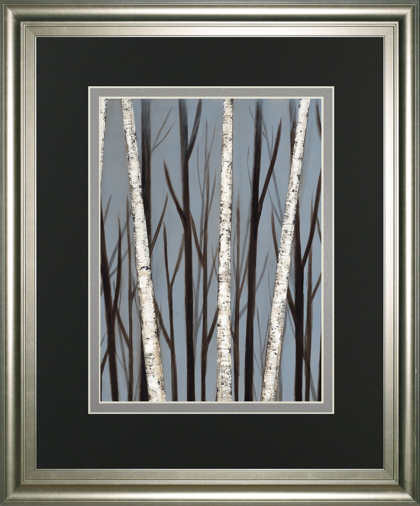 Birch Shadows By Eve