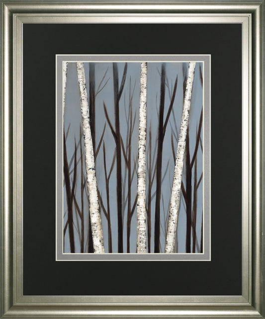 Birch Shadows By Eve