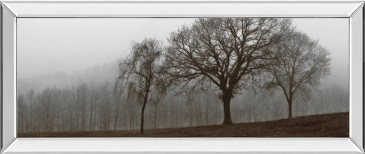 Autumn Fog By Szilagyi I. - Mirrored Frame Wall Art - Dark Gray