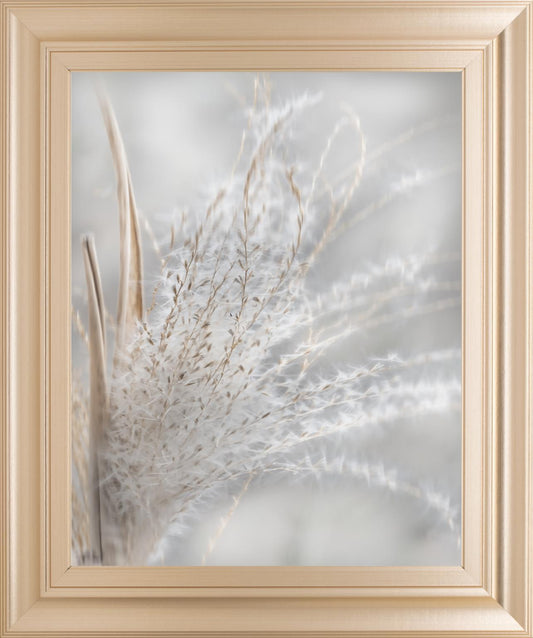 Summer Wisps I By Irene Weisz 22x26 - Pearl Silver