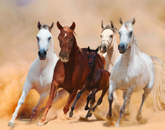 Four Horses - Light Brown