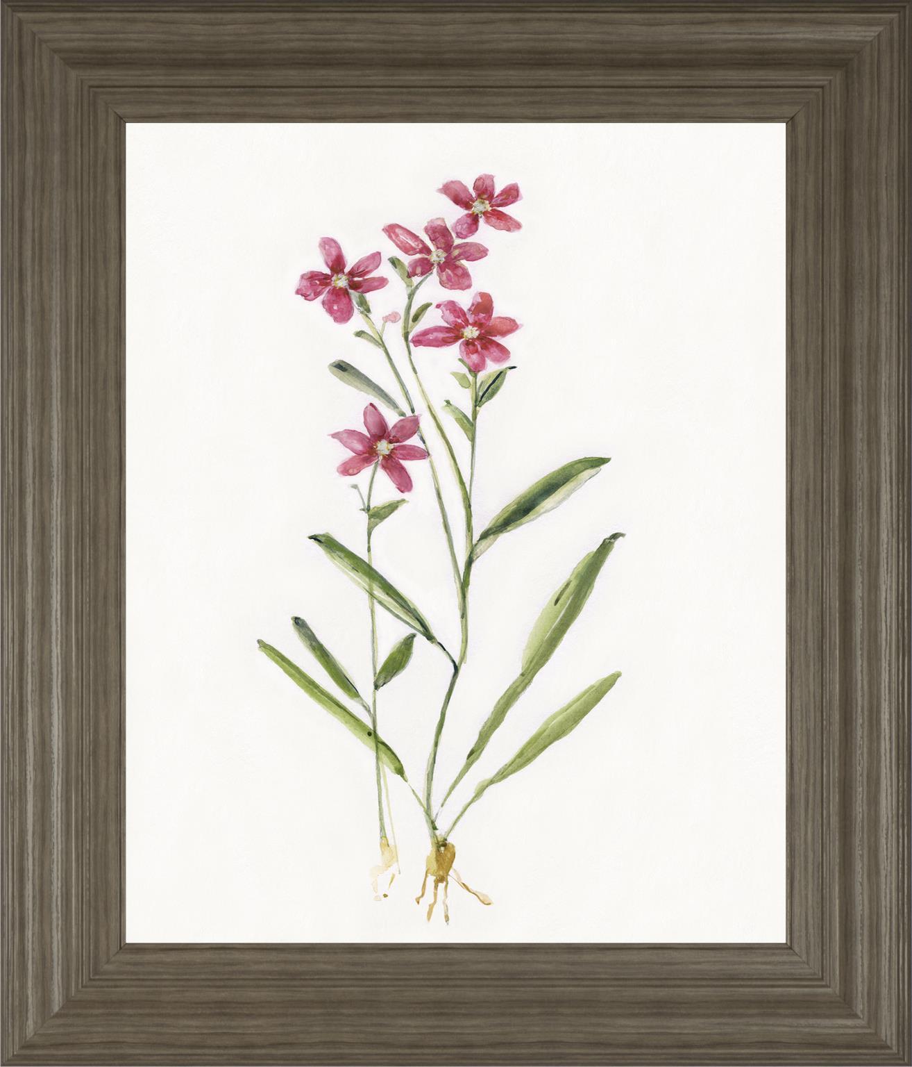 Delicate Pink II By Sally Swatland 22x26 - Red