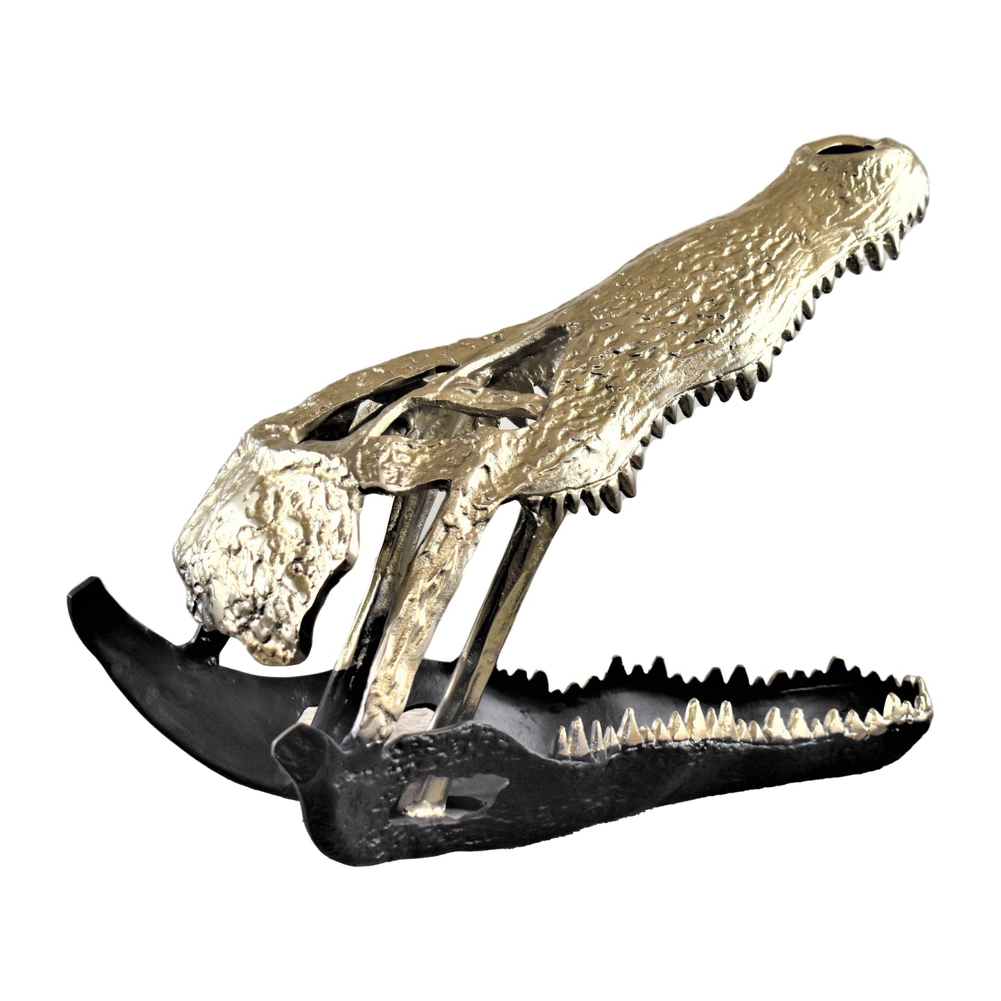 Metal Alligator Skull 16" - Gold / Black