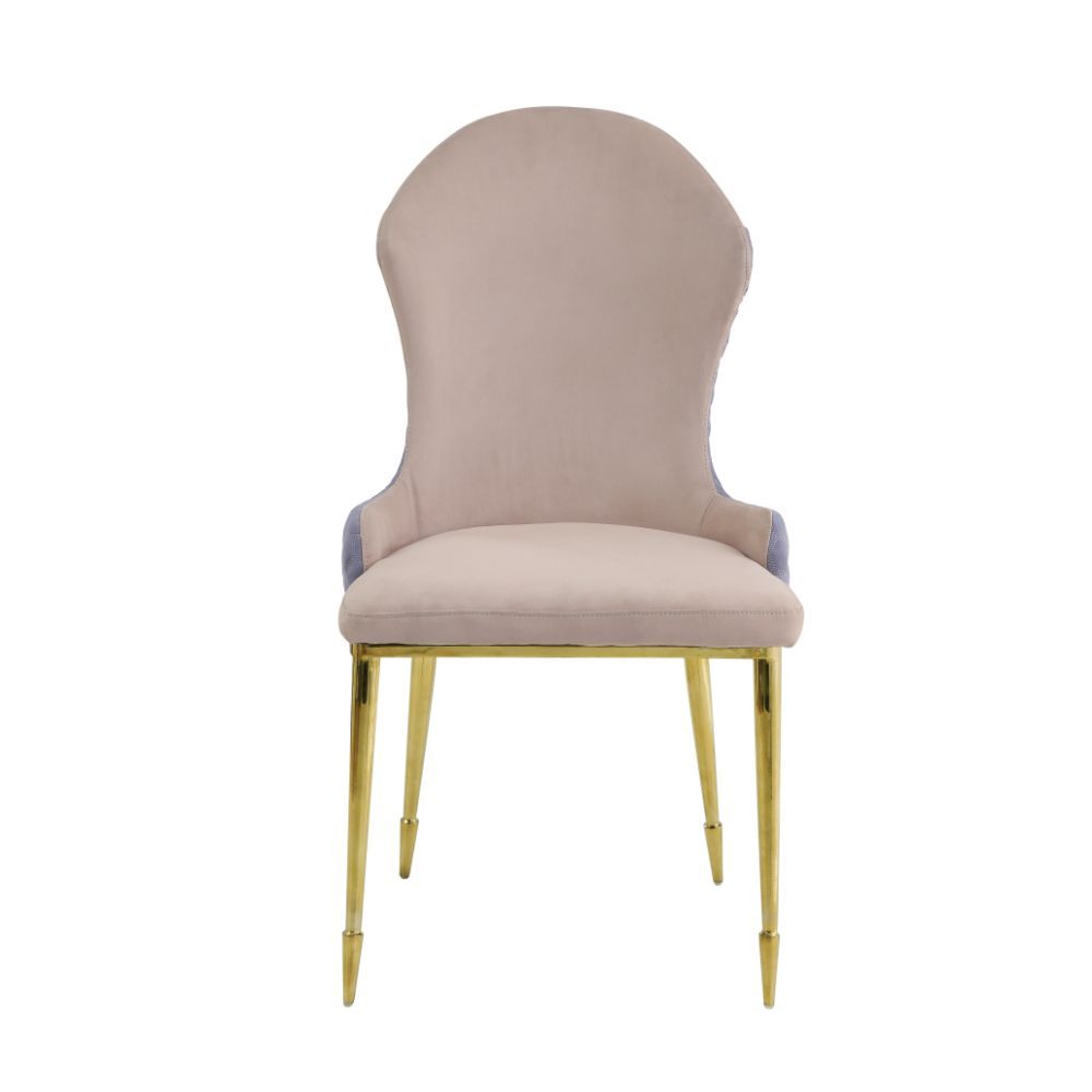 Caolan - Side Chair (Set of 2) - Tan, Lavender Fabric & Gold