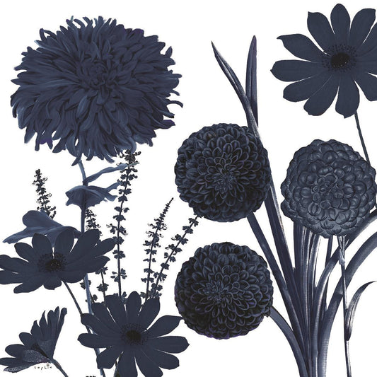 Framed - Blue Shift I By Sophie Six