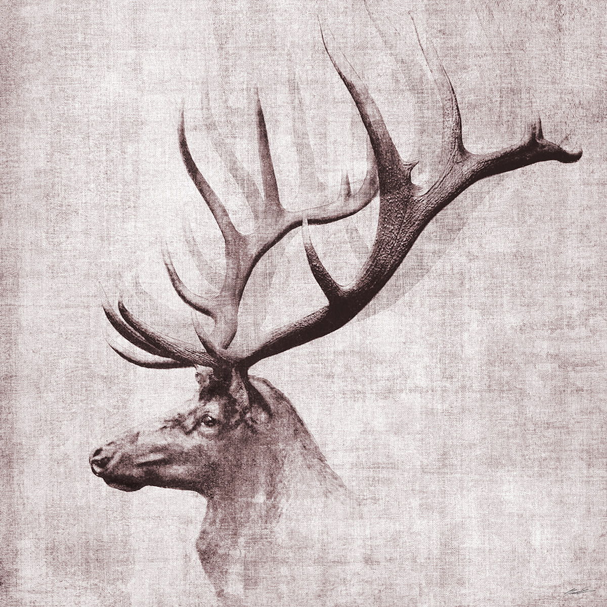 Framed Small - Open Range II By John Butler