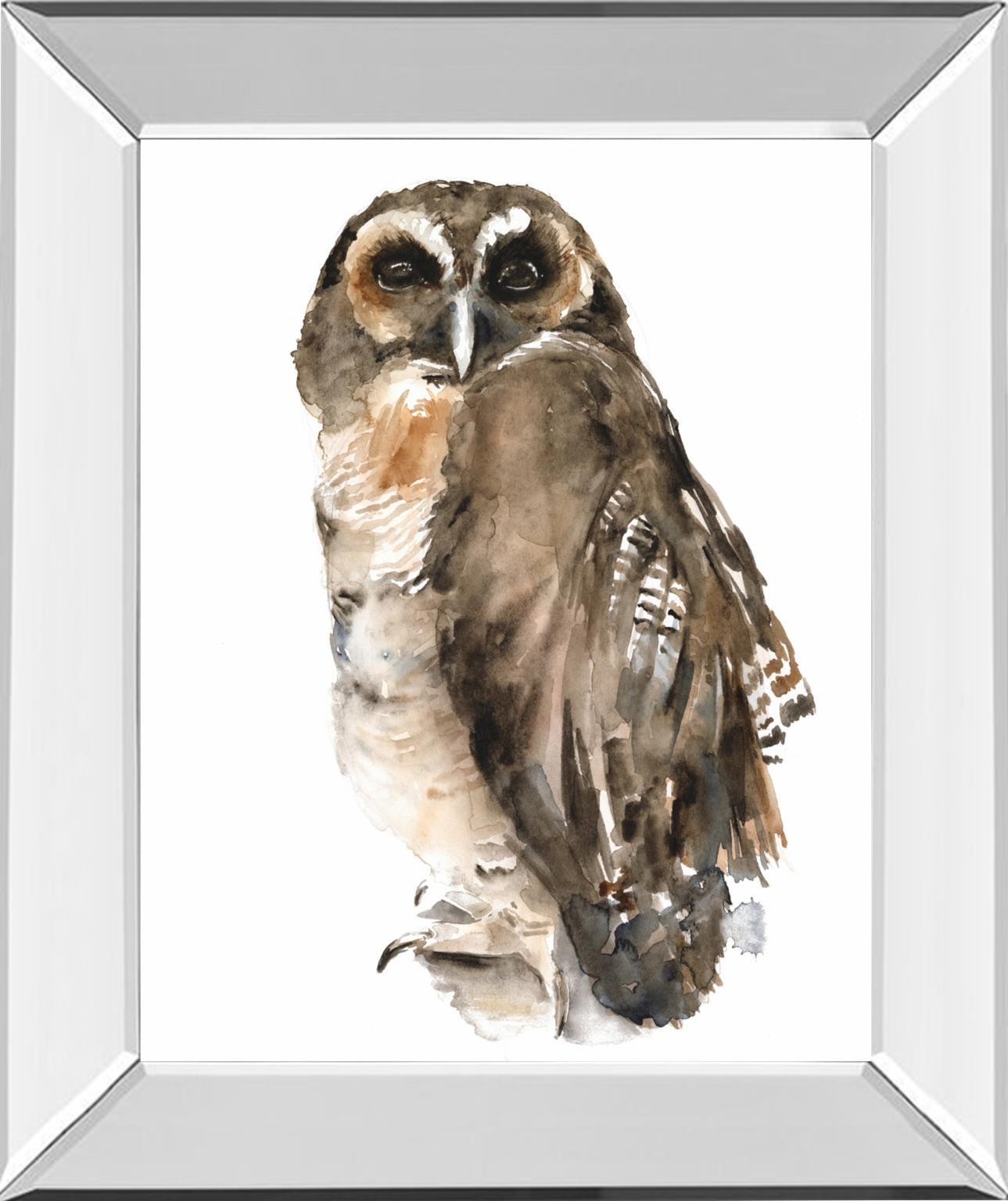 Watercolor Owl I By Jennifer Paxton Parker - Dark Gray