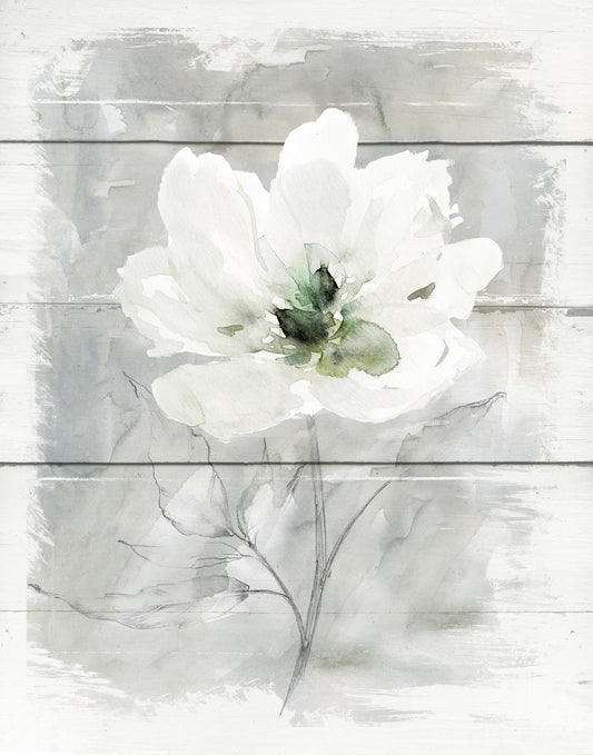 Farmhouse Rose II By Carol Robinson - Silver