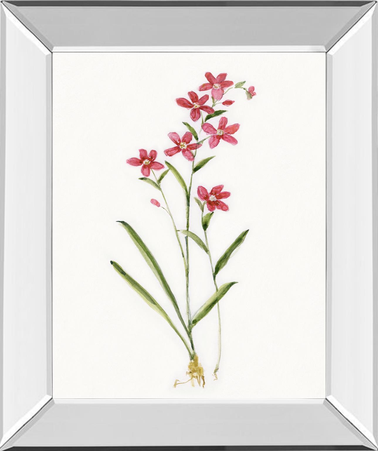 Delicate Pink I By Sally Swatland - Red