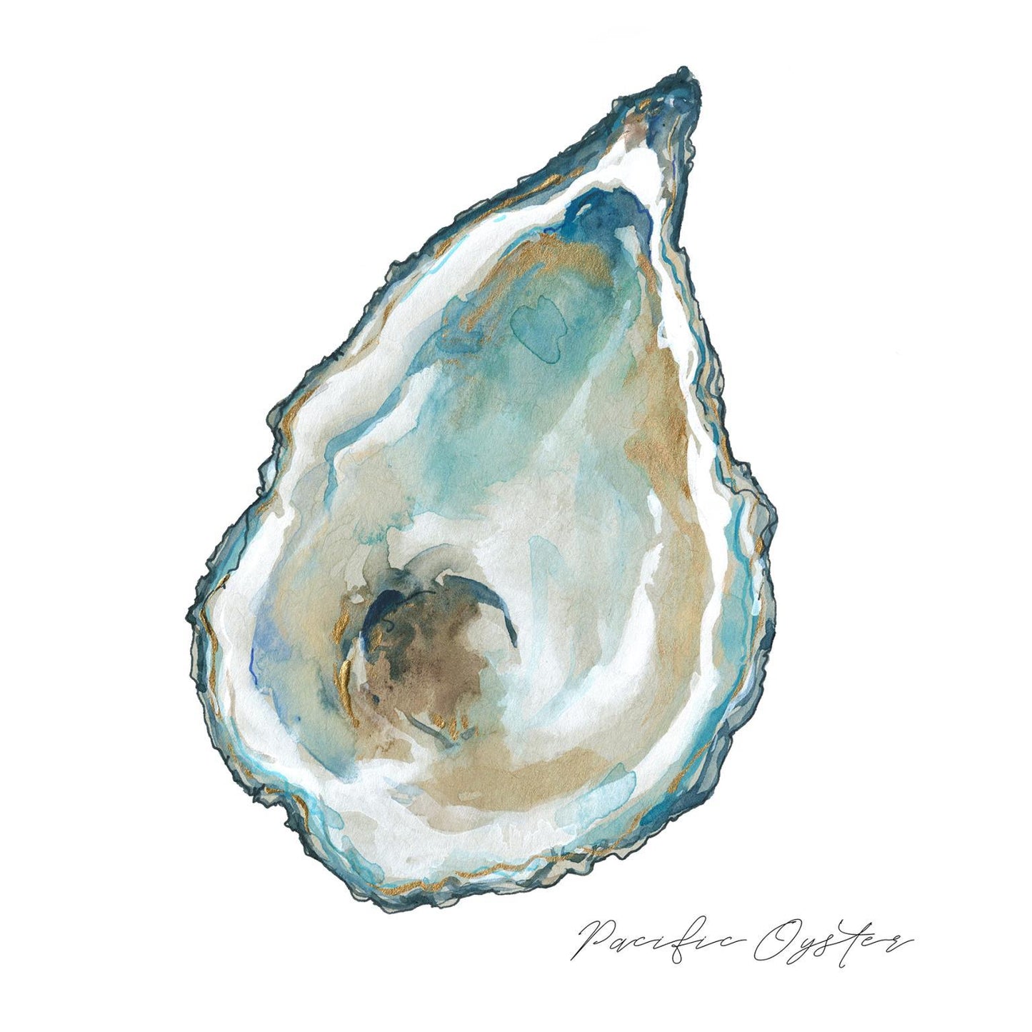 Framed - Pacific Oyster By Carol Robinson