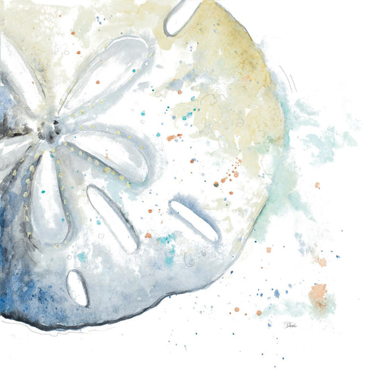 Framed - Water Sand Dollarpatriciapinto