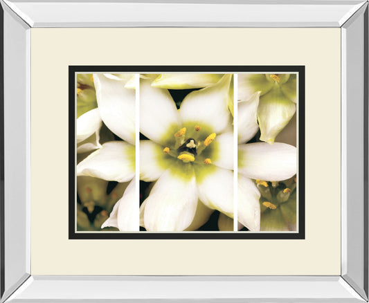 Star Of Bethlehem Triptych By Levine A. Mirrored Frame