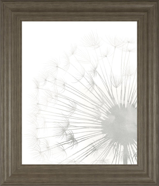 Dandelion Whisper II By Grace Popp 22x26 - Pearl Silver