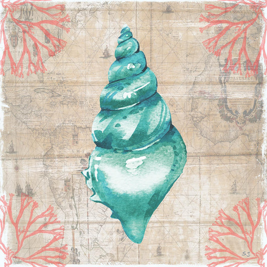 Framed - Coral Cove II By Susan Jill