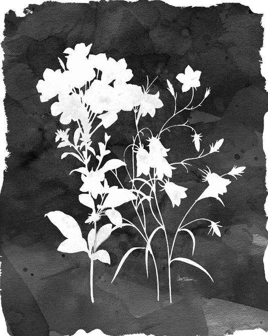 Small - Black Botanical II By Carol Robinson