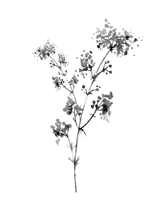 Small - Neutral Washed Botanical I By Conrad Knutsen