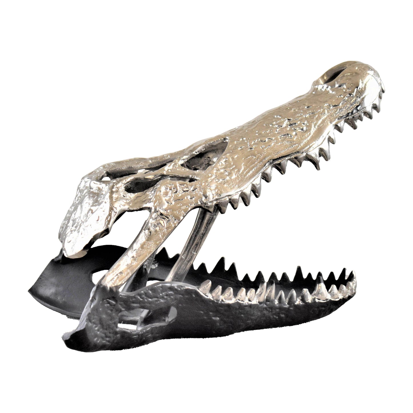 Metal Alligator Skull 11" - Nickle / Black