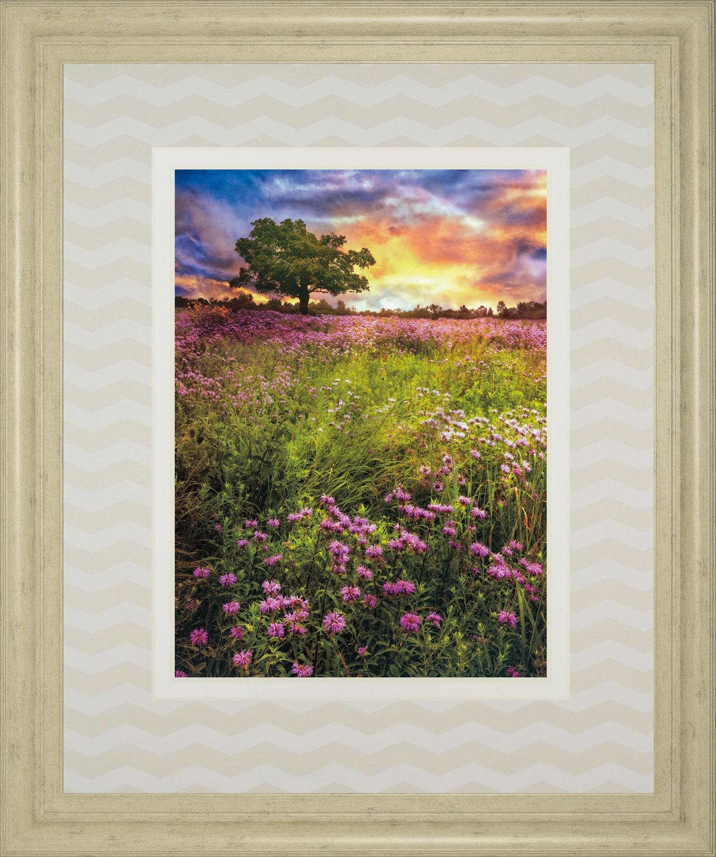 Summer Meadows By Celebrate Life Gallery