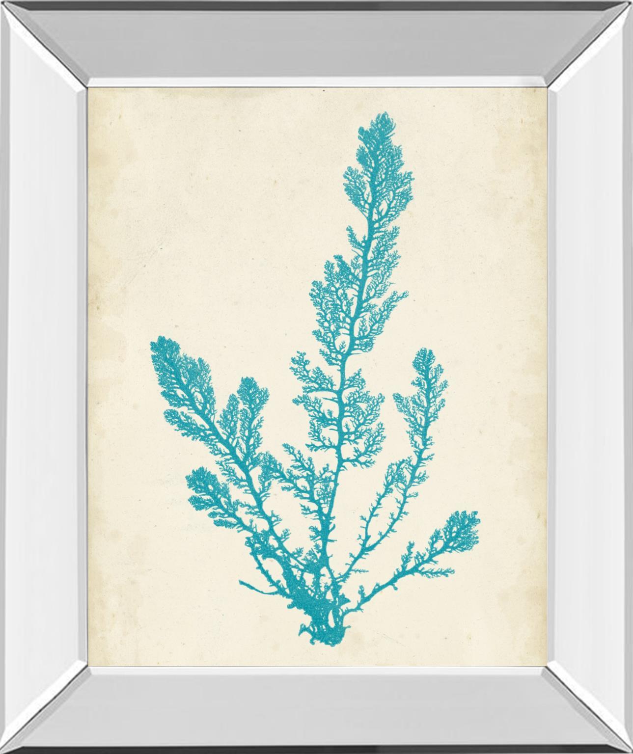 Aquamarine Seaweed VI By Vision Studio - Light Blue