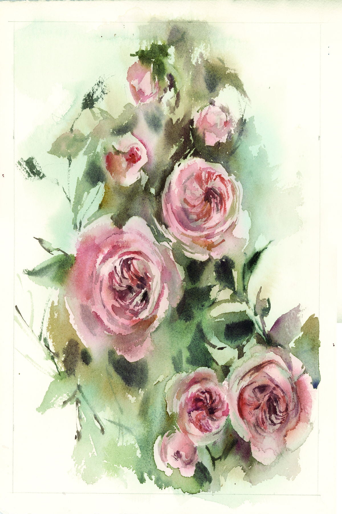 Framed Small - Blush Roses V By Sophia Rodinov