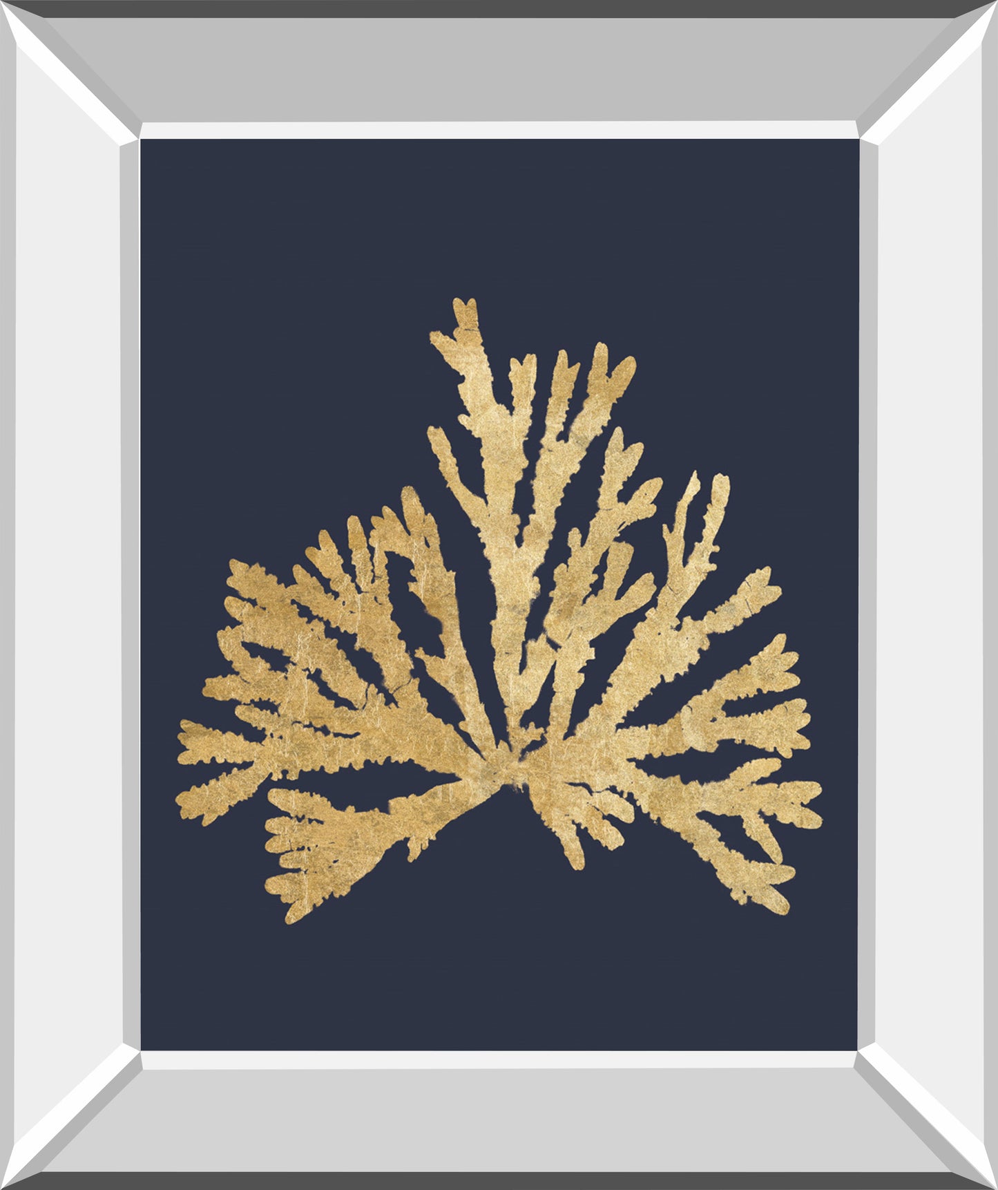 Pacific Sea Mosses IV Indigo By Wild Apple Portfolio - Mirror Framed Print Wall Art