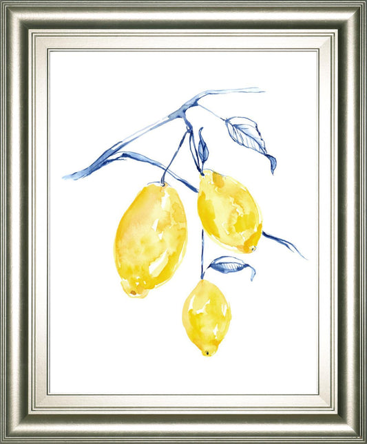 Watercolor Lemons I By Jennifer Goldberger 22x26 - Yellow