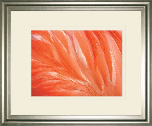 Danza De La Pluna By Ortegam X.