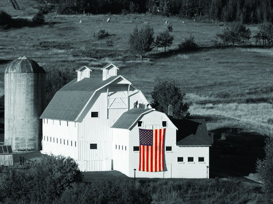 Small - American Farmhouse By B. Jannsen